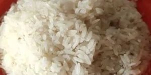 Magic Rice