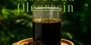 Clove Bud Oleoresin