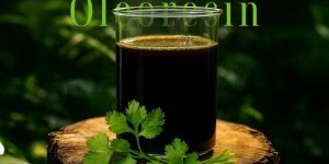 Coriander Oleoresin