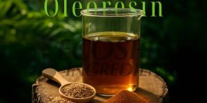 Cumin Oleoresin