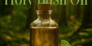 Holy Basil Oil