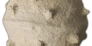 Off White Paper Mache Dotted Flower Pot