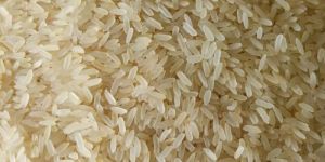 Medium Grain Non Basmati Rice