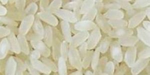 Short Grain Non-Basmati Rice