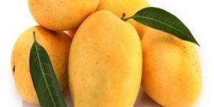 Fresh Badami Mango