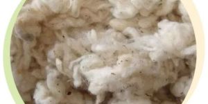 Comber Noil Cotton Waste