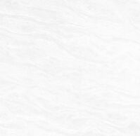 800 X 800m Drago White Tiles