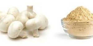 Mushroom Powder