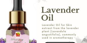 Lavender Oil