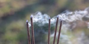 Silver Champa Incense Sticks (Colored / White )