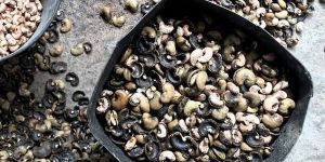 Rejection Cashew Nuts