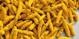Yellow Turmeric Finger
