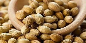 Coriander Seeds