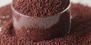 Finger Millet Seeds