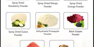 Dehydrated Fruits Powder