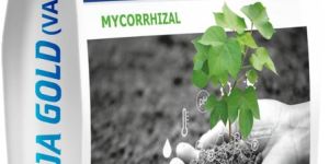Vesicular Arbuscular Mycorrhiza