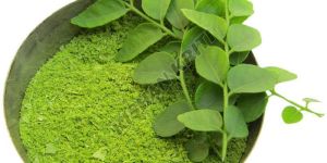 Organic Tulsi Leaf Powder