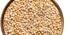 Organic White Quinoa Seeds