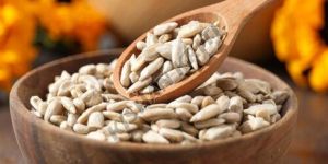 Organic White Sunflower Seeds