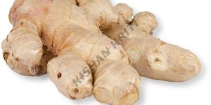 Organic Whole Ginger