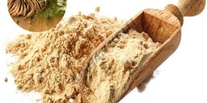 Shatavari Root Powder