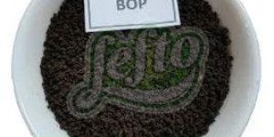 Assam Bop CTC Tea