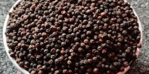 Malabar India 9mm Black Pepper Seeds