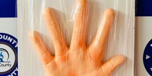 Patterned Abrasions Model