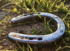Horse Shoes