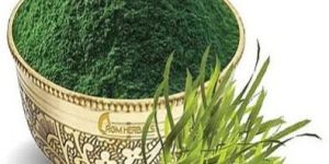 Spirulina Powder