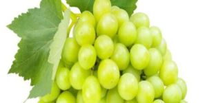Grapes