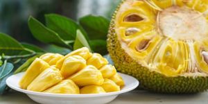 Jackfruit