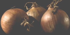 Onions