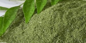 Dried Curry Leaves Powder