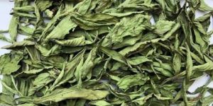 Dried Stevia Leaves