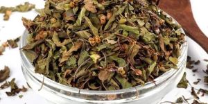 Dried Tulsi Leaves