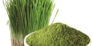 Organic Barley Grass Powder