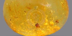 TGM 0665 Oval Yellow Amber Gemstones