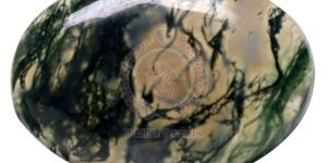 TGM 0669 Milky Green Oval Moss Agate Stones