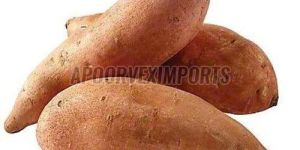 Fresh Sweet Potato'