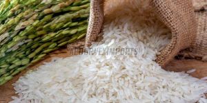 Pusa White Sella Rice