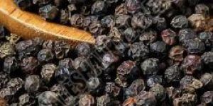 Black Pepper Seeds