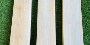English Willow Cricket Bats