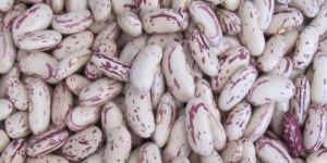 Speckled Kidney Beans