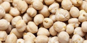 White Chickpeas