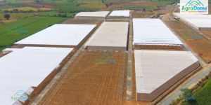 Single Layer Flat Roof Net House