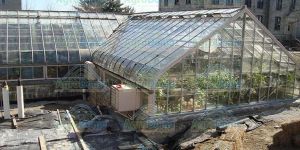 Greenhouse Maintenance Service