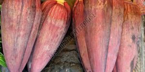 A Grade Brown Banana Flower