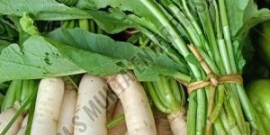 A Grade Fresh Radish