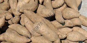 Brown a Grade Sweet Potato